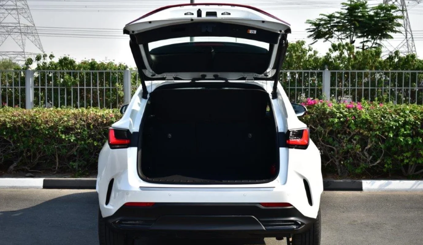 2025 LEXUS NX350 ELITE 2.4L TURBO 5-SEATER AWD AUTOMATIC