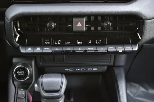 Prado TXL1 controls