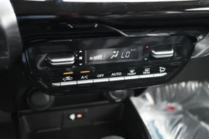 Suzuki Fronx Car